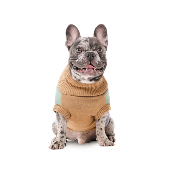 Светр в язаний Rich для собак M3