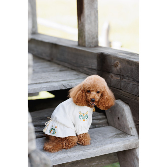 Вишиванка Maryana XSдівчинка