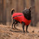 Жилет Pet Fashion E.Vest для собак червоний XS-2
