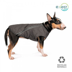 Жилет Pet Fashion E.Vest для собак сірий XL