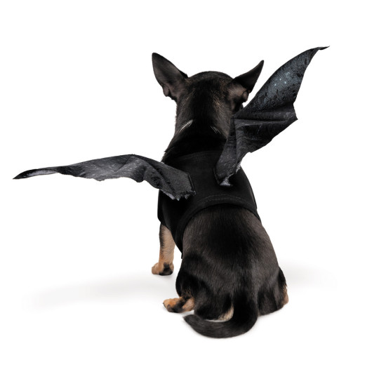 Аксесуар Pet Fashion Web S/M