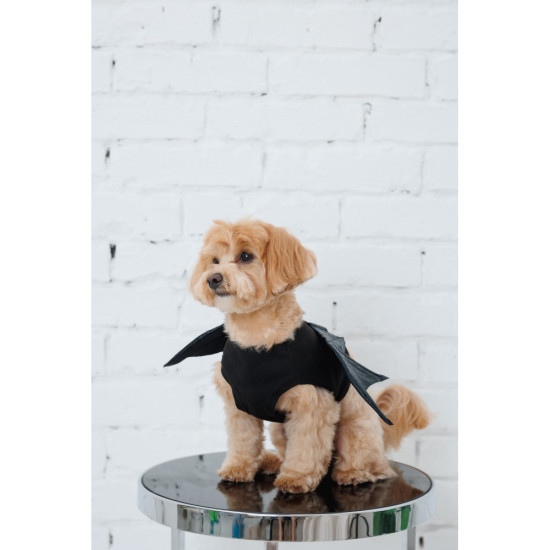 Аксесуар Pet Fashion Web S/M