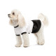 Сукня Chanti ТМ Pet Fashion для собак XS