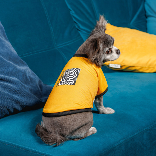Футболка Pet Fashion Jessica для собак бавовна трикотаж жовта M