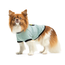 Футболка Pet Fashion Oscar для собак бавовна трикотаж рібана блакитна XS