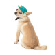 Панама Pet Fashion Rob для собак бавовна фіксатор бірюзова М
