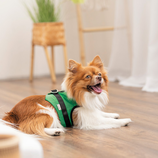 Шлея Ross ТМ Pet Fashion для собак  ХXS