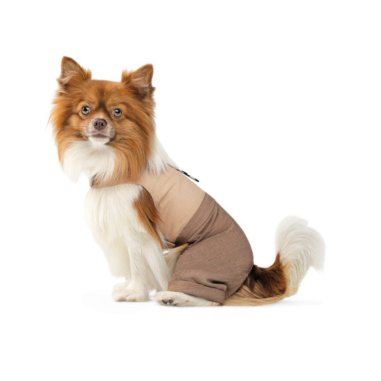 Шлея-костюм Darcy ТМ Pet Fashion для собак ХXS