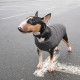 Жилет Pet Fashion E.Vest для собак сірий SМ