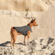 Жилет Pet Fashion E.Vest для собак сірий SМ