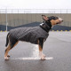 Жилет Pet Fashion E.Vest для собак сірий SМ