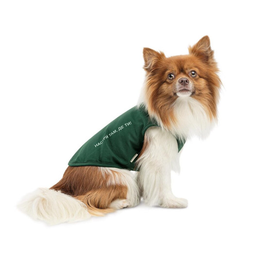 Борцівка Kale ТМ Pet Fashion для собак М зелена