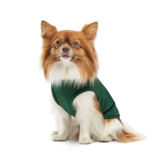 Борцівка Kale ТМ Pet Fashion для собак S зелена