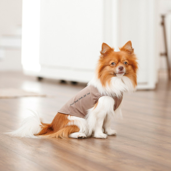 Борцівка Kale ТМ Pet Fashion для собак XS коричнева