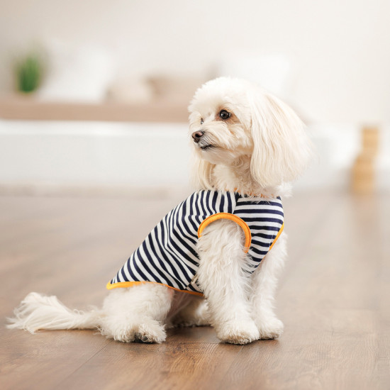 Борцівка Kale ТМ Pet Fashion для собак XS смугаста