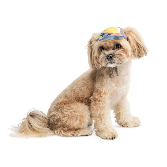 Кепка Tony ТМ Pet Fashion для собак XS