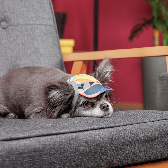 Кепка Tony ТМ Pet Fashion для собак XS