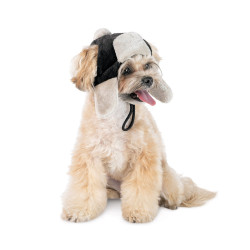 Шапка Bubo Pet Fashion для собак, розмір S чорна