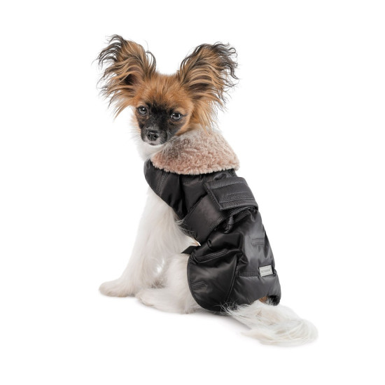 Попона Pet Fashion Ted для собак чорний/сірий XS