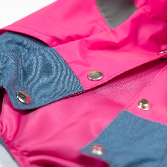 Дощовик Betty ХS2 Pet Fashion для собак дівчинка