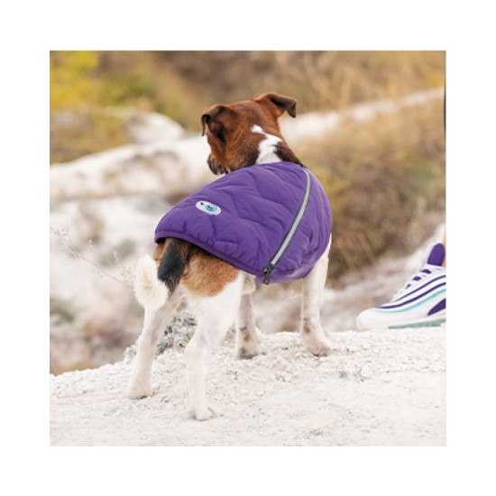 Жилет Pet Fashion E.Vest для собак фіолетовий М