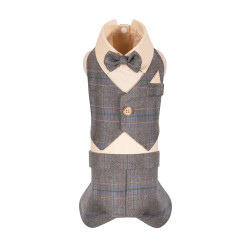 Костюм святковий Pet Fashion Happy для собак XS