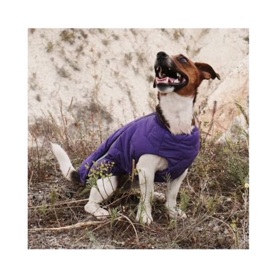 Жилет Pet Fashion E.Vest для собак фіолетовий XS