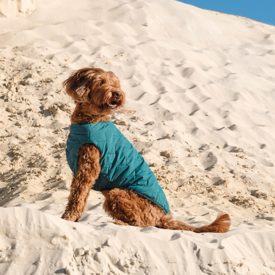 Жилет Pet Fashion E.Vest для собак морська хвиля М2