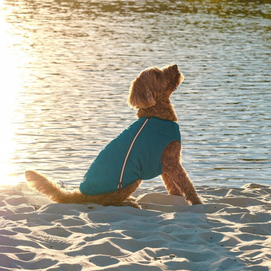 Жилет Pet Fashion E.Vest для собак морська хвиля SМ