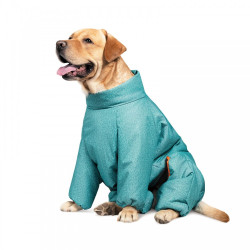 Комбінезон Pet Fashion Cold для собак бірюза XS