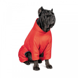 Комбінезон Pet Fashion Cold для такси червоний S2