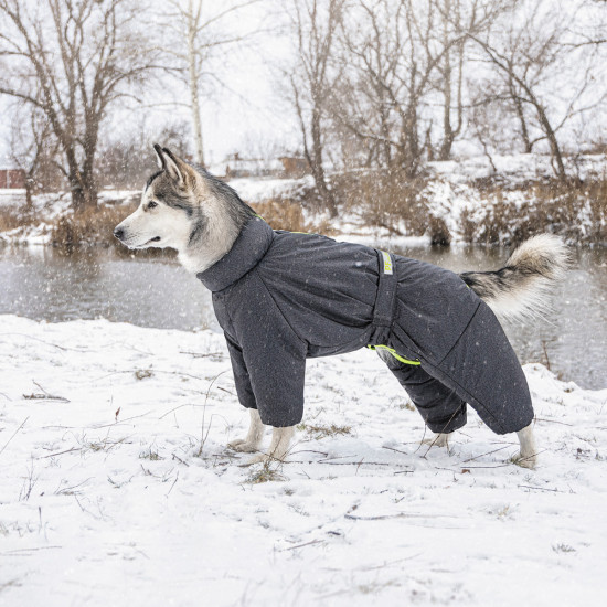 Комбінезон Pet Fashion COLD для собак породи такса сірий M
