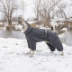Комбінезон Pet Fashion COLD для собак сірий 5XL