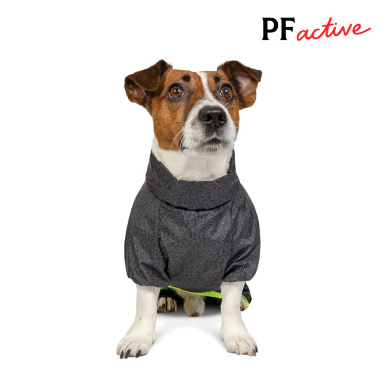Комбінезон Pet Fashion RAIN для собак породи такса сірий M