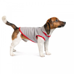 Жилет Pet Fashion Fleecy для собак сірий/червоний ХS2