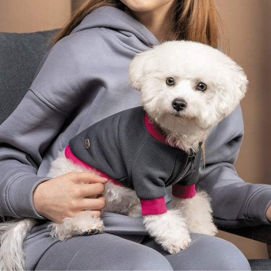 Толстовка Pet Fashion BIM для собак сіро-рожева М