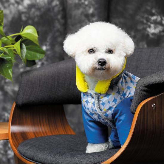 Костюм Pet Fashion TENDER для собак біло-блакитний M