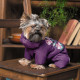 Костюм Pet Fashion LOLA для собак бузковий XS2