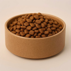 Миска Swastic OSTO для собак бамбукова 650 мл коричнева