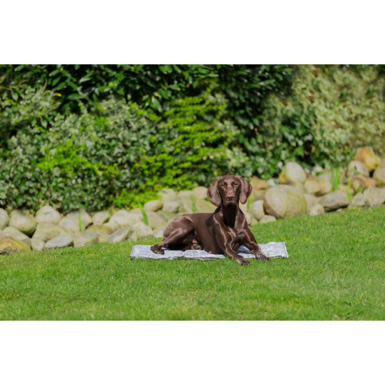 Охолоджуючий килимок Trixie м який XXL 110 х 70 см сірий