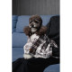 Плед Pet Fashion Bliss 2 для собак і котів плюш сірий картатий 70,5х94 см