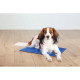 Килимок Trixie для собак охолоджуючий синій нейлон 40х30 см