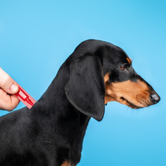 Краплі Provet PROFILINE для собак 4-10 кг інсектоакарицид 1 піпетка по 1 мл