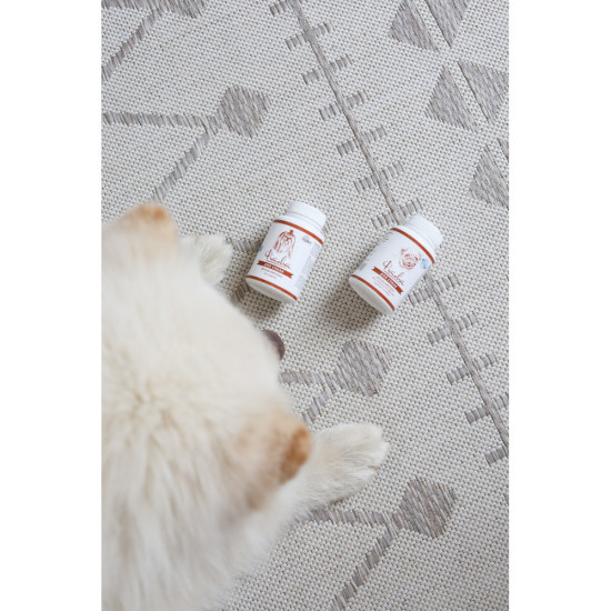 Фітокомплекс Provet ФІТОВИТ для собак для покращення травної системи 100 табл 112 г