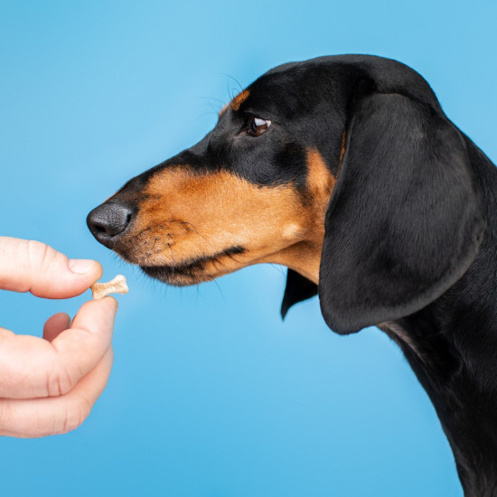 Вітаміни Provet PROFILINE для собак МАКСІ комплекс для середніх та великих порід для опорно-рухового апарату 100 таб