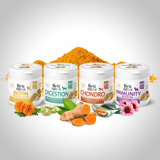Вітаміни Brit Vitamins Biotin Skin & Coat Care для собак для шкіри та шерсті 60 таблеток