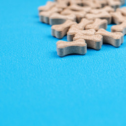 Вітаміни Provet PROFILINE для собак БІОТИН комплекс для шерсті 10 табл