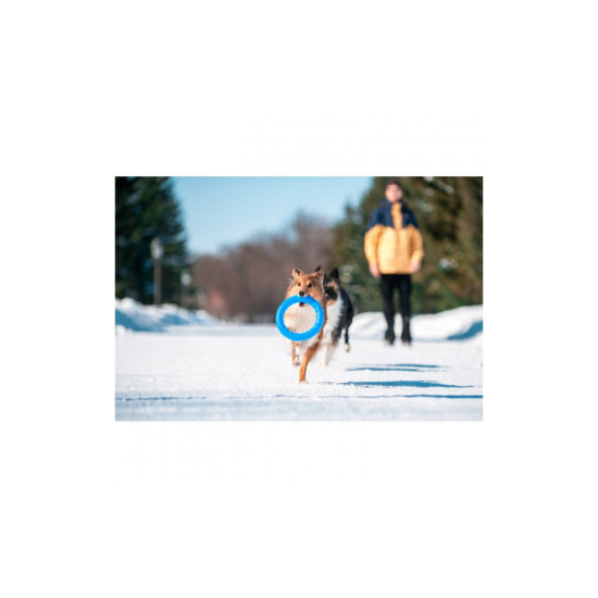 Іграшка для собак Collar PitchDog Кільце для апортування 17 см блакитне (62362)