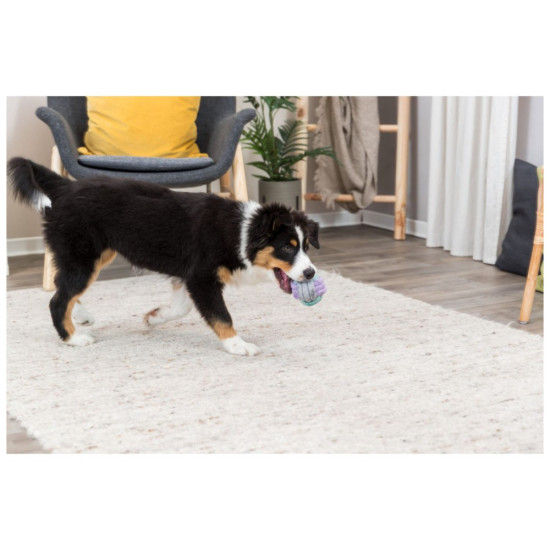 Іграшка для собак Trixie Junior Для цуценят М'яч жгутовий Текстиль 6 см (4011905328102)