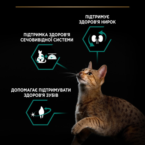 Сухий корм для кішок Purina Pro Plan Sterilised Adult 1+ Renal Plus Для дорослих стерилізованих З індичкою 14 кг (7613287887702)